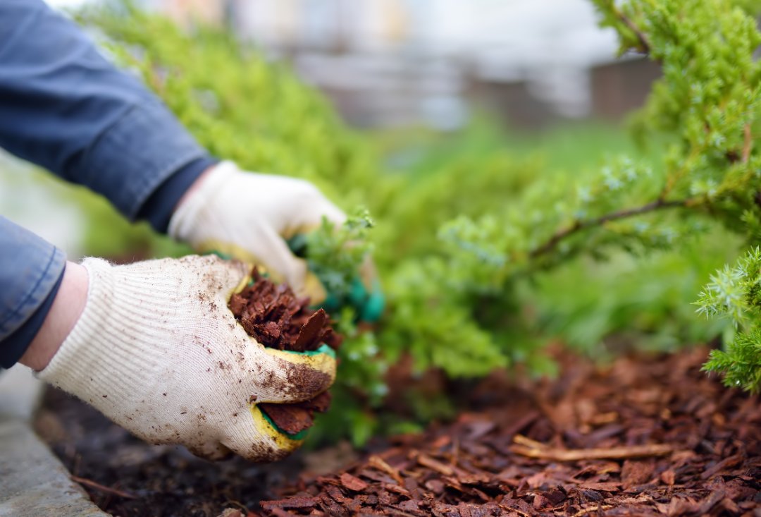 Gardening Aches And Pains? We Can Help!